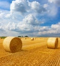 Yellow golden straw bales of hay in the stubble field Royalty Free Stock Photo