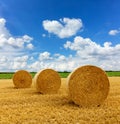 Yellow golden straw bales of hay in the stubble field Royalty Free Stock Photo