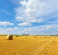 Yellow golden straw bales of hay in the stubble field Royalty Free Stock Photo