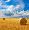 Yellow golden straw bales of hay in the stubble field Royalty Free Stock Photo