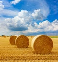 Yellow golden straw bales of hay in the stubble field