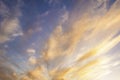 A yellow and golden sunset sky as a background Royalty Free Stock Photo
