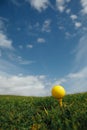 Yellow golf ball on tee, blue sky background