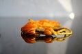 Yellow Graduation Tassel