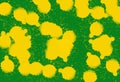 Yellow graffiti circles on green background