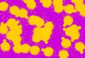 Yellow graffiti splash on purple - pink background