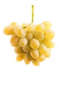 Yellow grape cluster Royalty Free Stock Photo