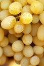 Yellow grape cluster Royalty Free Stock Photo