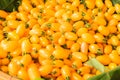 Yellow Grape Tomatoes, Fresh cherry baby tomatoes Royalty Free Stock Photo