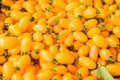 Yellow Grape Tomatoes, Fresh cherry baby tomatoes Royalty Free Stock Photo