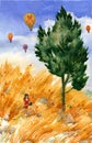 Yellow grass, cypress and girl working outdoor with air balloons