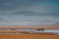 Yellow grass in a field, small island in a lake, mountains in the background. Scene in Connemara, county Galway, Ireland. Warm Royalty Free Stock Photo