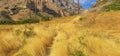 Yellow grass growing in Provo Canyon pano