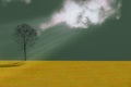 Yellow grass, trees, sky and clouds, rain, sunlight and beam. Abstract concept of nature. Royalty Free Stock Photo
