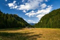 Yellow grass valley with the trees on sides and Highline179 Royalty Free Stock Photo