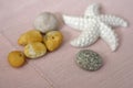 Yellow and gray pebbles with starfish