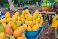 African red, yellow and green mangoes 2