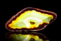 Yellow green agate slice, black background, healing stone and mi Royalty Free Stock Photo