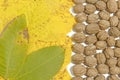 Yellow and green autumn leaves and lot walnuts on white table Royalty Free Stock Photo