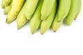 Yellow Green Banana Comp.