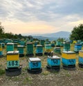 Yellow, green and blue numirated handicrafts bee wooden hives in the field Royalty Free Stock Photo