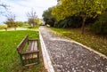 Yellow and green colorful leaves autumn colors in the park outdoor with a road and wood bench