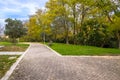 Yellow and green colorful leaves autumn colors in the park outdoor with a road and wood bench