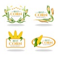 Yellow green Corn best and natural products banner sign vector design