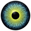 Yellow and green eyeball texture