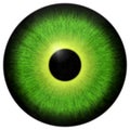 Yellow and green eyeball texture