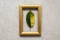 Yellow-green fallen leaf in a gold photo frame on a plaster background. Autumn concept Royalty Free Stock Photo