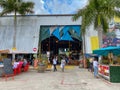 Yellow Green Farmers Market Hollywood FLorida