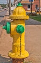Yellow and Green Fire Hydrant Royalty Free Stock Photo