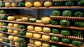 Yellow and green gouda cheese wheels in an amsterdam shop Royalty Free Stock Photo