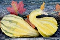 Yellow and Green Gourds Royalty Free Stock Photo