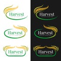 Yellow green Harvest paddy rice logo vector collection design