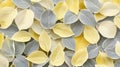 Yellow and Green Hosta Leaves Background, Natural Pattern, Garden Design Element, Floral Texture Royalty Free Stock Photo