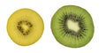 Yellow and green kiwi fruit slice on a white background. Bio fruits. Royalty Free Stock Photo