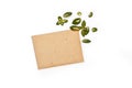 Yellow-green leaves of euonymus arranged around vintage envelope