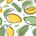 YELLOW GREEN MANGO Delicious Fruit Sketch Seamless Pattern Royalty Free Stock Photo