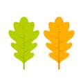 Yellow and green oak leaf vector icon