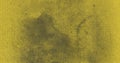 Yellow green ocherous abstract textured background texture to the point with bright spots of paint. Blank background design banner