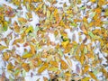 Yellow, green and orange oak tree leaves. Fall weather. Wind and dry leaves. Royalty Free Stock Photo