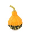 Yellow and green ornamental gourd