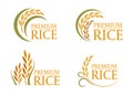 Yellow and green paddy premium rice logo sign 4 style vector design