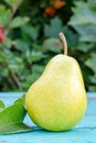 Yellow-green pear on a old surface. Green leaf. Vertically