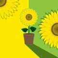 Yellow-green plant background flower sunflower potted. Background, banner, label, cover. Vector image