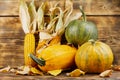 Pumpkins with corn on a wooden background. Royalty Free Stock Photo