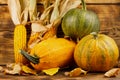 Pumpkins with corn on a wooden background. Royalty Free Stock Photo