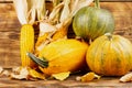 Pumpkins with corn on a wooden background. Royalty Free Stock Photo